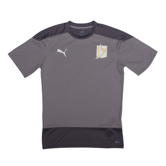 Adult PUMA Practice Jersey (Gold on Grey)