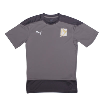 2024 Adult Practice Jersey (GOLD Crest on Grey)