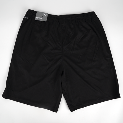 Adult PUMA TeamLIGA Shorts