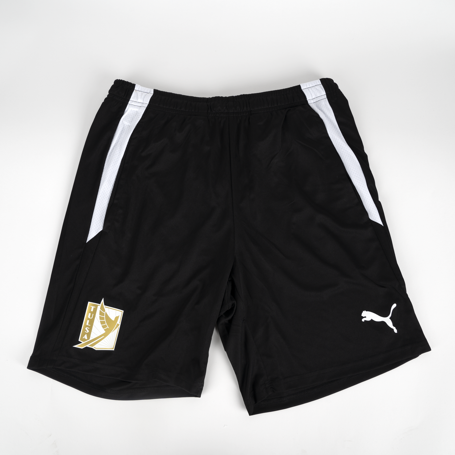 Adult PUMA TeamLIGA Shorts